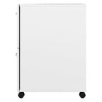 Hickory / Walnut / Gray / White 2-Drawer Mobile File Cabinet with Lock, Letter Size, Single