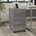 Hickory / Walnut / Gray / White 2-Drawer Mobile File Cabinet with Lock, Letter Size, Single