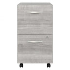 Hickory / Walnut / Gray / White 2-Drawer Mobile File Cabinet with Lock, Letter Size, Single