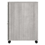 Hickory / Walnut / Gray / White 2-Drawer Mobile File Cabinet with Lock, Letter Size, Single