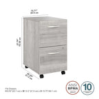 Hickory / Walnut / Gray / White 2-Drawer Mobile File Cabinet with Lock, Letter Size, Single