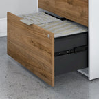 Brown / Grey 2-Drawer Lateral File Cabinet with Lock, Letter/Legal/A4, Single, Assembled
