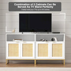 White 2-Door Rattan Buffet Sideboard with Adjustable Shelf